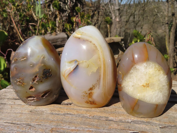 Polished Agate Standing Free Forms  x 3 From Madagascar