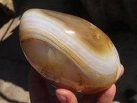 Polished Agate Standing Free Forms x 3 From Madagascar