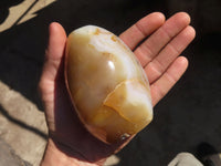 Polished Agate Standing Free Forms x 3 From Madagascar