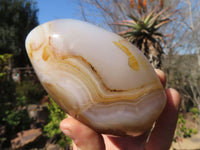 Polished Agate Standing Free Forms x 3 From Madagascar