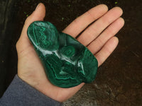 Polished Malachite Free Forms With Stunning Flower & Banding Patterns x 3 From Congo - TopRock