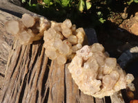 Natural Cascading White Phantom Smokey Quartz Clusters  x 3 From Luena, Congo - Toprock Gemstones and Minerals 