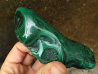 Polished Malachite Free Forms With Stunning Flower & Banding Patterns x 3 From Congo - TopRock