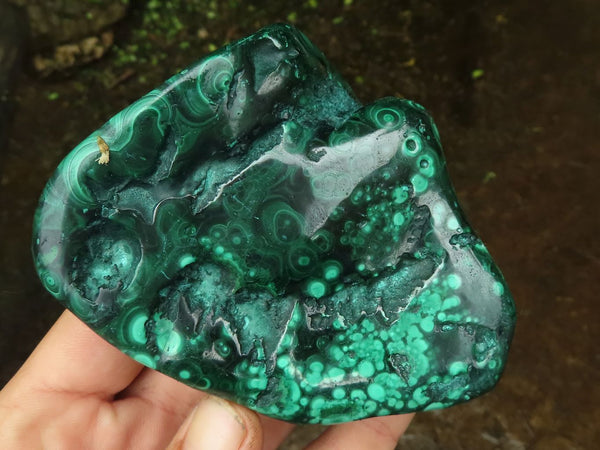 Polished Malachite Free Forms With Stunning Flower & Banding Patterns x 3 From Congo - TopRock