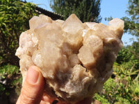 Natural Cascading White Phantom Smokey Quartz Clusters  x 3 From Luena, Congo - Toprock Gemstones and Minerals 