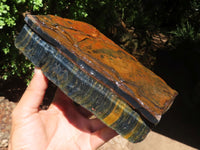 Natural Golden Blue Tigers Eye Specimen x 1 From Prieska, South Africa - TopRock