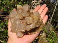 Natural Cascading White Phantom Smokey Quartz Clusters  x 3 From Luena, Congo - Toprock Gemstones and Minerals 