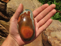 Polished Polychrome / Picasso Jasper Free Forms  x 4 From Madagascar - TopRock