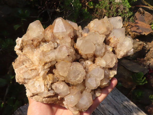 Natural Cascading White Phantom Smokey Quartz Cluster x 1 From Luena, Congo