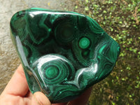 Polished Malachite Free Forms With Stunning Flower & Banding Patterns x 3 From Congo - TopRock