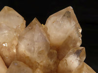 Natural Cascading White Phantom Smokey Quartz Clusters  x 3 From Luena, Congo - Toprock Gemstones and Minerals 