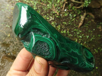 Polished Malachite Free Forms With Stunning Flower & Banding Patterns x 3 From Congo - TopRock