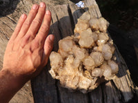 Natural Cascading White Phantom Smokey Quartz Cluster x 1 From Luena, Congo