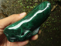 Polished Malachite Free Forms With Stunning Flower & Banding Patterns x 3 From Congo - TopRock