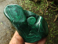 Polished Malachite Free Forms With Stunning Flower & Banding Patterns x 3 From Congo - TopRock