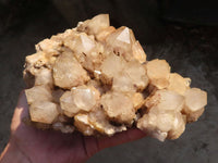 Natural Cascading White Phantom Smokey Quartz Cluster x 1 From Luena, Congo