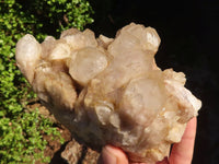 Natural Cascading White Phantom Smokey Quartz Clusters  x 3 From Luena, Congo - Toprock Gemstones and Minerals 