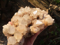 Natural Cascading White Phantom Smokey Quartz Cluster x 1 From Luena, Congo