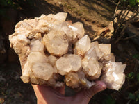 Natural Cascading White Phantom Smokey Quartz Cluster x 1 From Luena, Congo