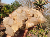 Natural Cascading White Phantom Smokey Quartz Cluster x 1 From Luena, Congo