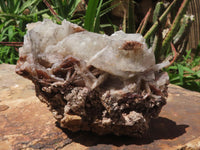 Natural Large Bladed Barite Specimen  x 1 From Tenke Fungurume, Congo - TopRock