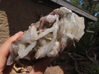 Natural Large Bladed Barite Specimen  x 1 From Tenke Fungurume, Congo - TopRock