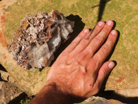 Natural Large Bladed Barite Specimen  x 1 From Tenke Fungurume, Congo - TopRock