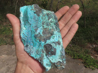 Natural Blue Silica Chrysocolla Specimens  x 6 From Congo - TopRock