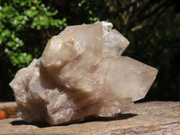 Natural Cascading White Phantom Smokey Quartz Specimens  x 6 From Luena, Congo - Toprock Gemstones and Minerals 