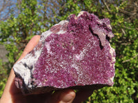 Natural Pink Salrose Cobaltion Dolomite Specimens  x 2 From Kakanda, Congo