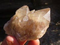 Natural Cascading White Phantom Smokey Quartz Clusters  x 6 From Luena, Congo - Toprock Gemstones and Minerals 