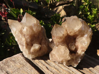 Natural Cascading White Phantom Smokey Quartz Clusters  x 6 From Luena, Congo - Toprock Gemstones and Minerals 