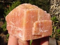 Natural New Sunset Orange Calcite Cubic Specimens  x 5 From Namibia - Toprock Gemstones and Minerals 