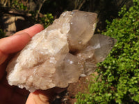 Natural Cascading White Phantom Smokey Quartz Clusters  x 6 From Luena, Congo - Toprock Gemstones and Minerals 