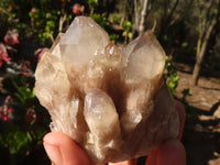 Natural Cascading White Phantom Smokey Quartz Clusters  x 6 From Luena, Congo - Toprock Gemstones and Minerals 