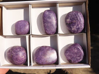 Polished Purple Lepidolite Free Forms  x 6 From Zimbabwe - Toprock Gemstones and Minerals 