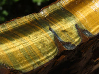 Natural Golden Blue Tigers Eye Specimen x 1 From Prieska, South Africa - TopRock