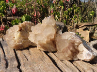 Natural Cascading Smokey Quartz Clusters x 3 From Luena, Congo