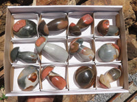 Polished Polychrome / Picasso Jasper Mushrooms & Palm Stones  x 12 From Madagascar - TopRock