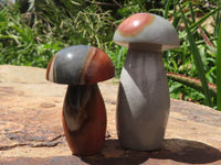 Polished Polychrome / Picasso Jasper Mushrooms & Palm Stones  x 12 From Madagascar - TopRock