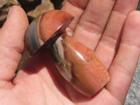 Polished Polychrome / Picasso Jasper Mushrooms & Palm Stones  x 12 From Madagascar - TopRock