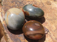 Polished Polychrome / Picasso Jasper Mushrooms & Palm Stones  x 12 From Madagascar - TopRock