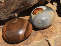 Polished Polychrome / Picasso Jasper Mushrooms & Palm Stones  x 12 From Madagascar - TopRock