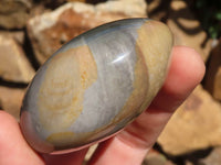 Polished Polychrome / Picasso Jasper Mushrooms & Palm Stones  x 12 From Madagascar - TopRock