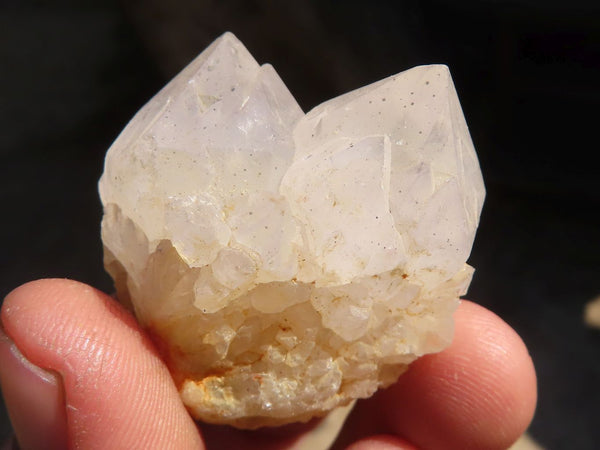 Natural White Cactus Flower Spirit Quartz Specimens x 35 From Boekenhouthoek, South Africa