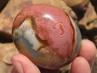 Polished Polychrome / Picasso Jasper Mushrooms & Palm Stones  x 12 From Madagascar - TopRock