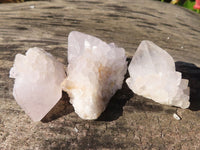 Natural White Cactus Flower Spirit Quartz Specimens x 35 From Boekenhouthoek, South Africa