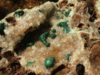 Natural Rare Ball Malachite On Drusy Quartz & Dolomite Specimens x 2 From Kambove, Congo