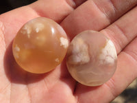 Polished  Mini Ocean  Flower Agate Palm Stones  x 35 From Madagascar