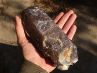 Polished Large Morion Smokey Quartz Crystal  x 1 From Zomba, Malawi